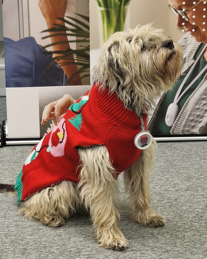 Intercall_Christmas_Office_Dog_2025